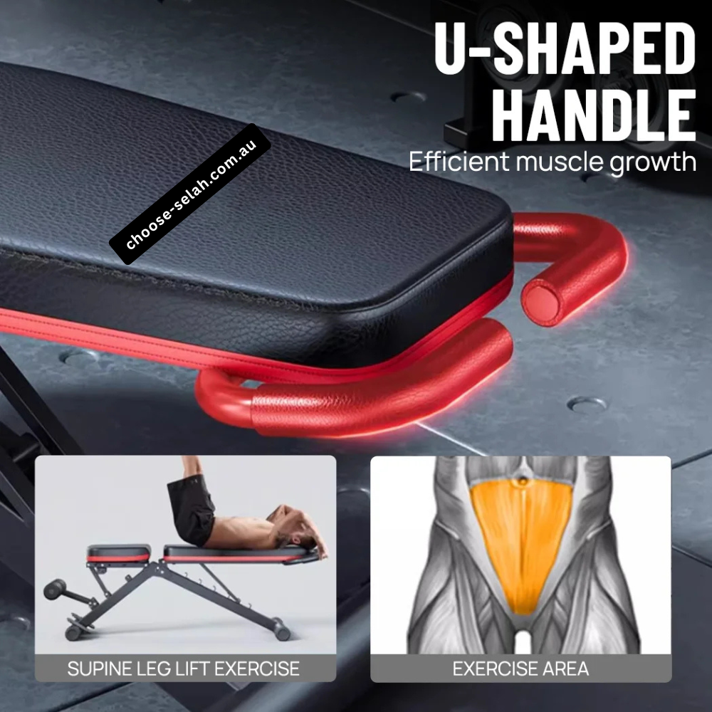 Compact Adjustable Gym Weight Bench for Dumbbell Training, Sit-Ups and Leg Raises